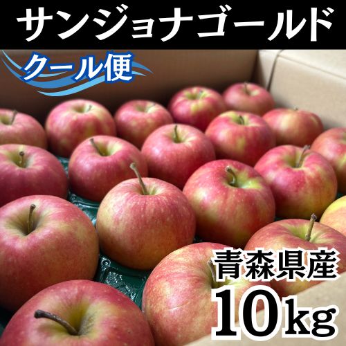 サンジョナゴールド 10kg グレードアップ 青森県産 ≪ ≫ アップルパイ ジュース サンジョナ ジョナゴールド りんご リンゴ 試食