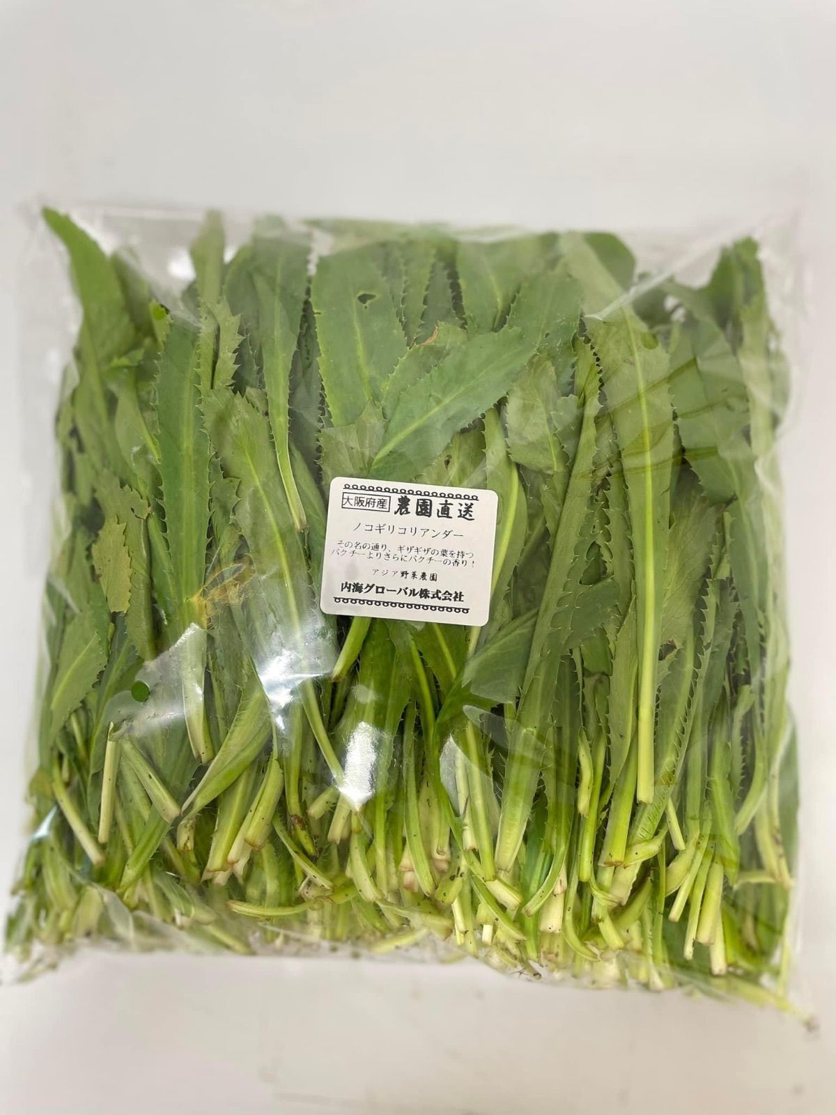 ノコギリコリアンダー 500g｜パクチーファラン - メルカリ