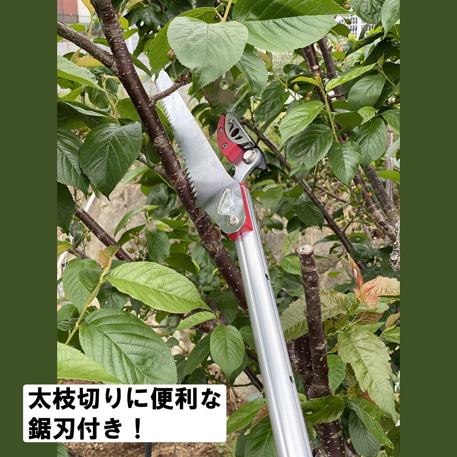 ハサミ 枝切