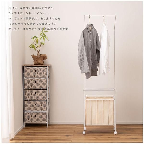 オリーブ太木挿 幹直径約10㎝ 火焔土器樹形 古木 盆栽極太 塊根 太枝