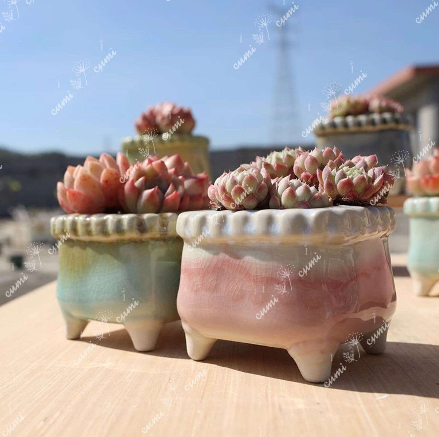 N0328 韓国 3号 4個セット 春日 四角 窯変 貫入 浮彫 植木鉢