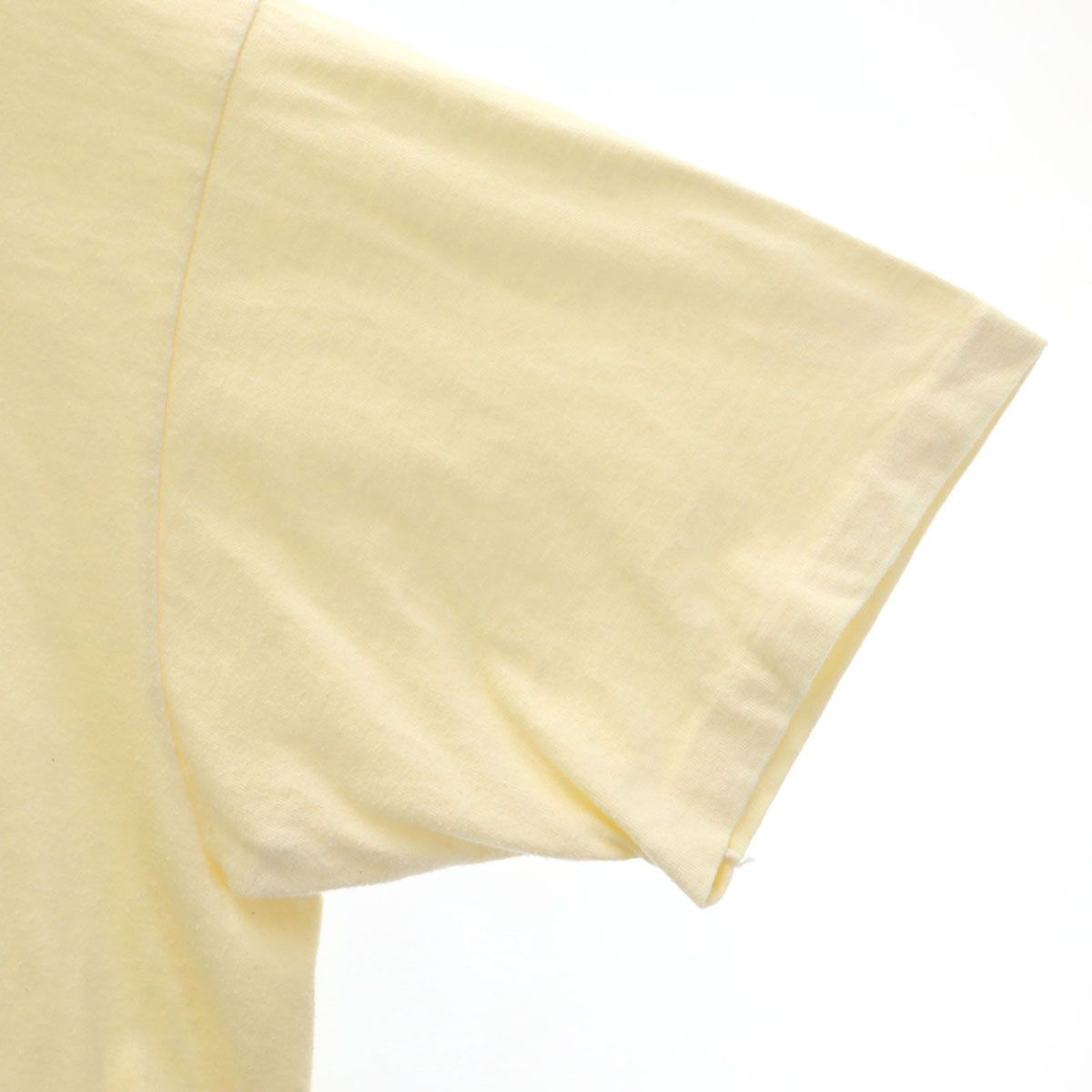 Hanes ヘインズ 80s 90s USA製 オールド SIERRA CLUB オラウータン 