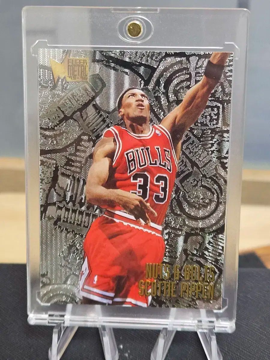 真作】掛軸 東東洋 寿老人図 文化七年春写 亀と巻物の吉祥図 合箱入 T84