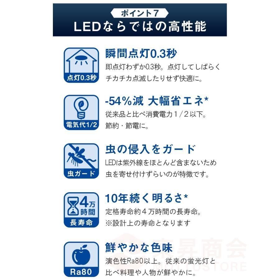 天井照明 居間