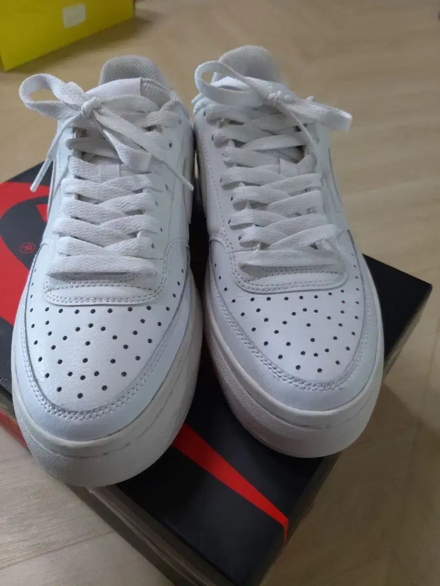 ナイキ コート ビジョン ロー 白 240