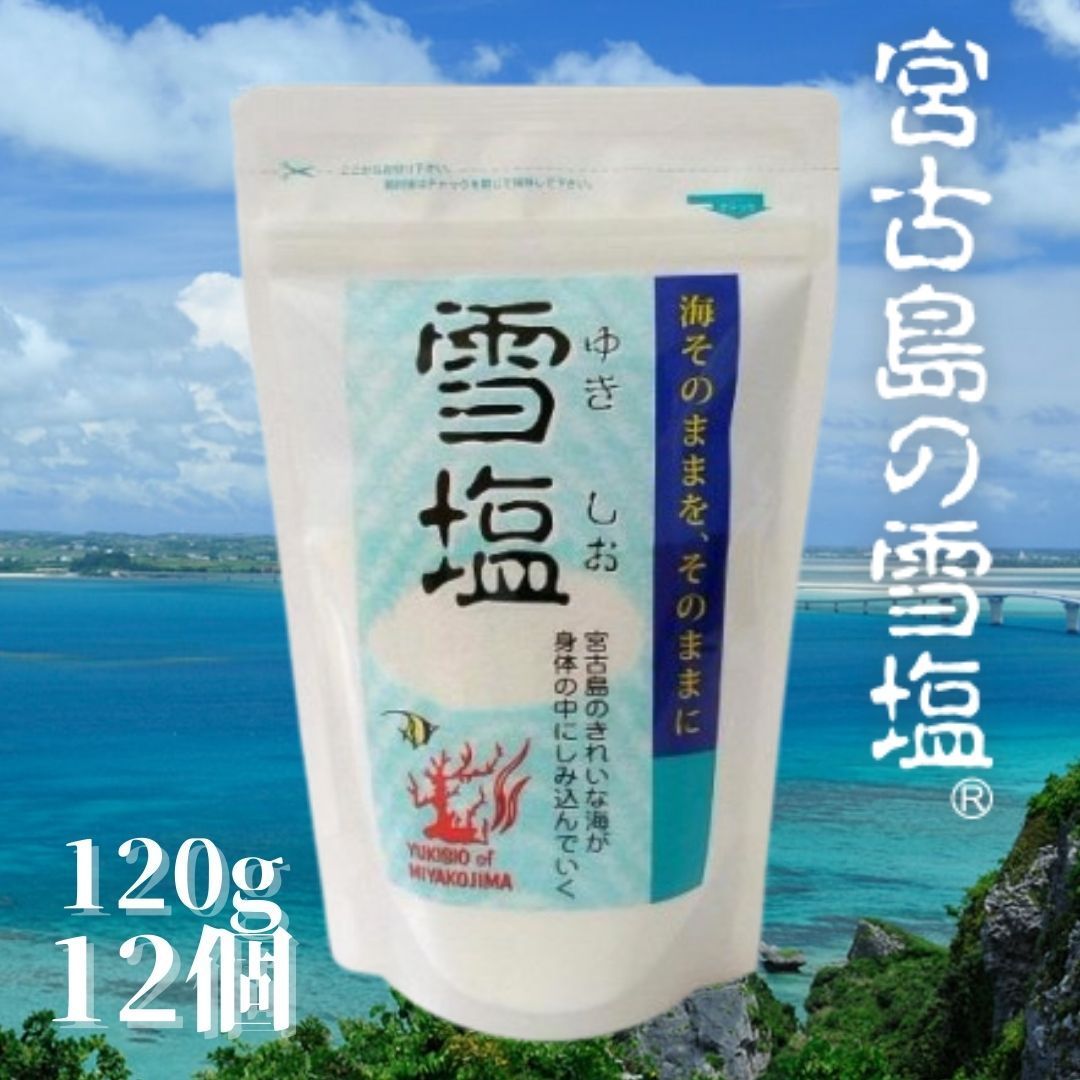 パラダイスプラン 雪塩 120g 12個 宮古島の雪塩 パウダー にがり含有 ジッパー付き