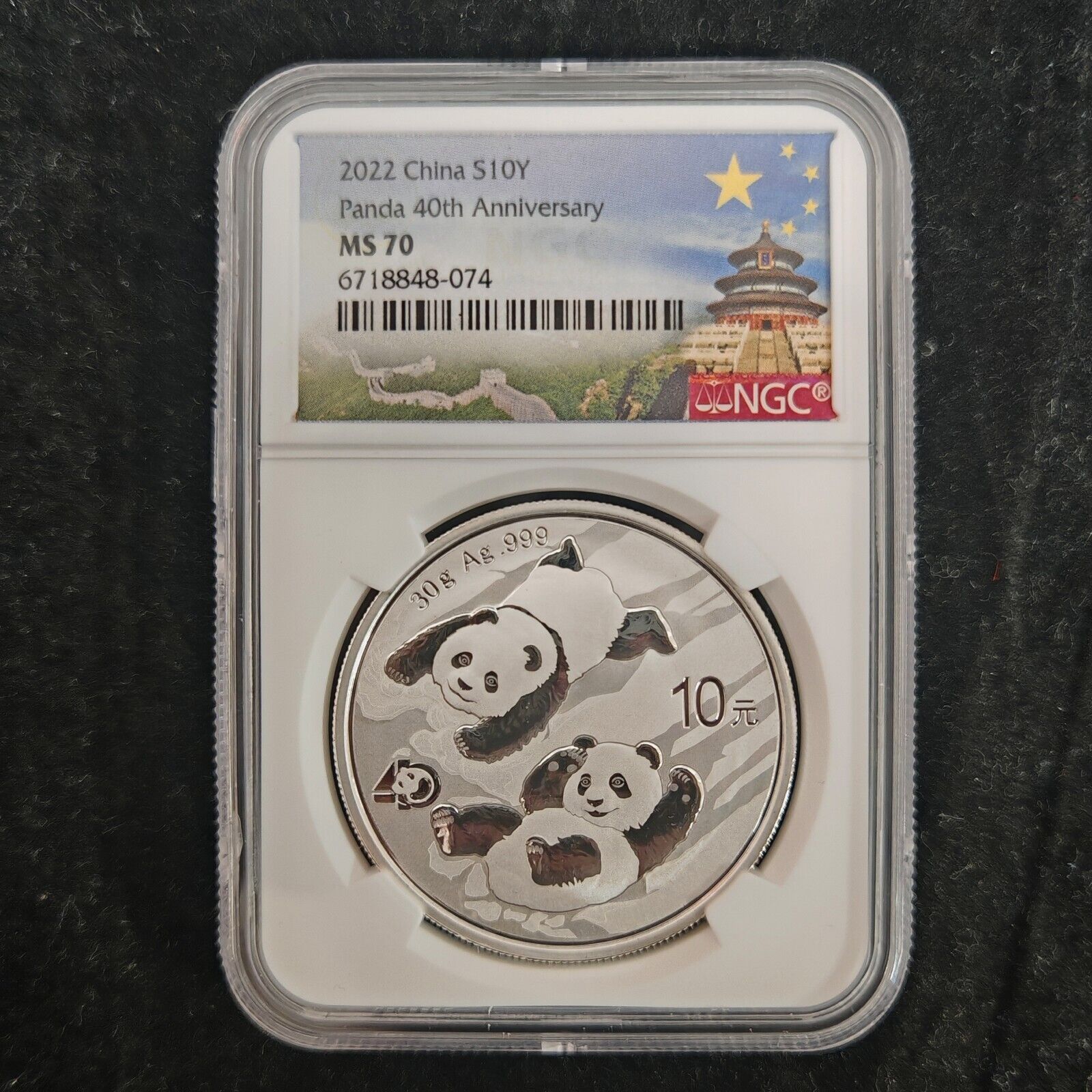 2025 China 10 Yuan 30 g Panda Silver Coin NGC MS70