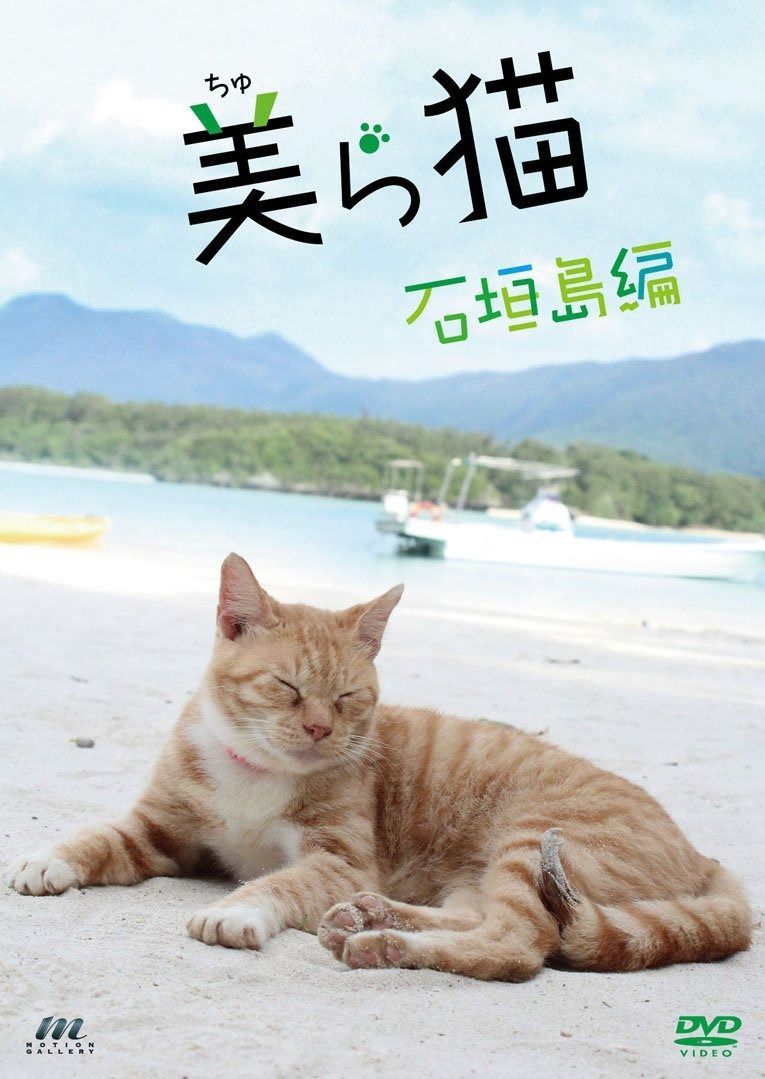【稀少・極美品】キャンピングガス Lumogaz N206 取説・純正ケース付 稀少・極美品】キャンピングガス Lumogaz N206 取説・純正ケース付