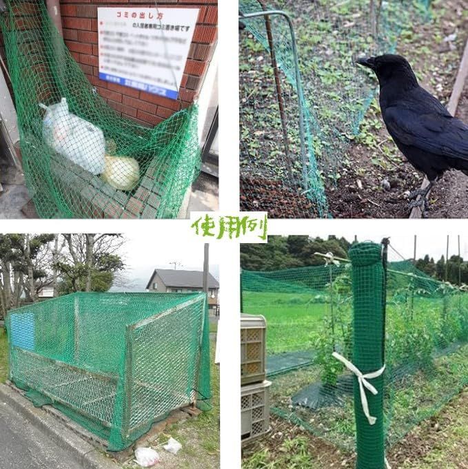 Gulfmore PP養生ネット 10x10m バードネット 多目的 園芸ネット 防鳥 防獣ネット 万能グリーンネット 果樹守りネット 鳥から田畑や果樹を守る アニマルネット STEELWINDOWSANDDOORS_COM