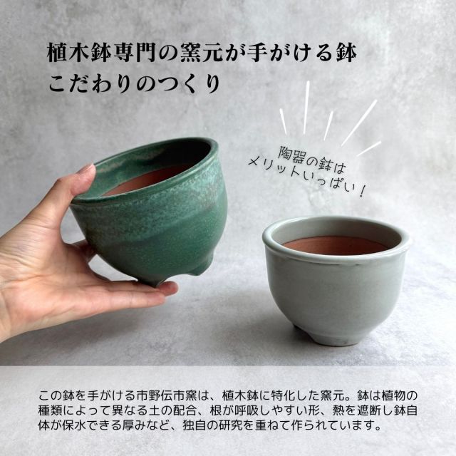 種類1：3号 直径9cm 陶器 植木鉢 コウロ鉢 雑貨 ギフト おしゃれ 高級