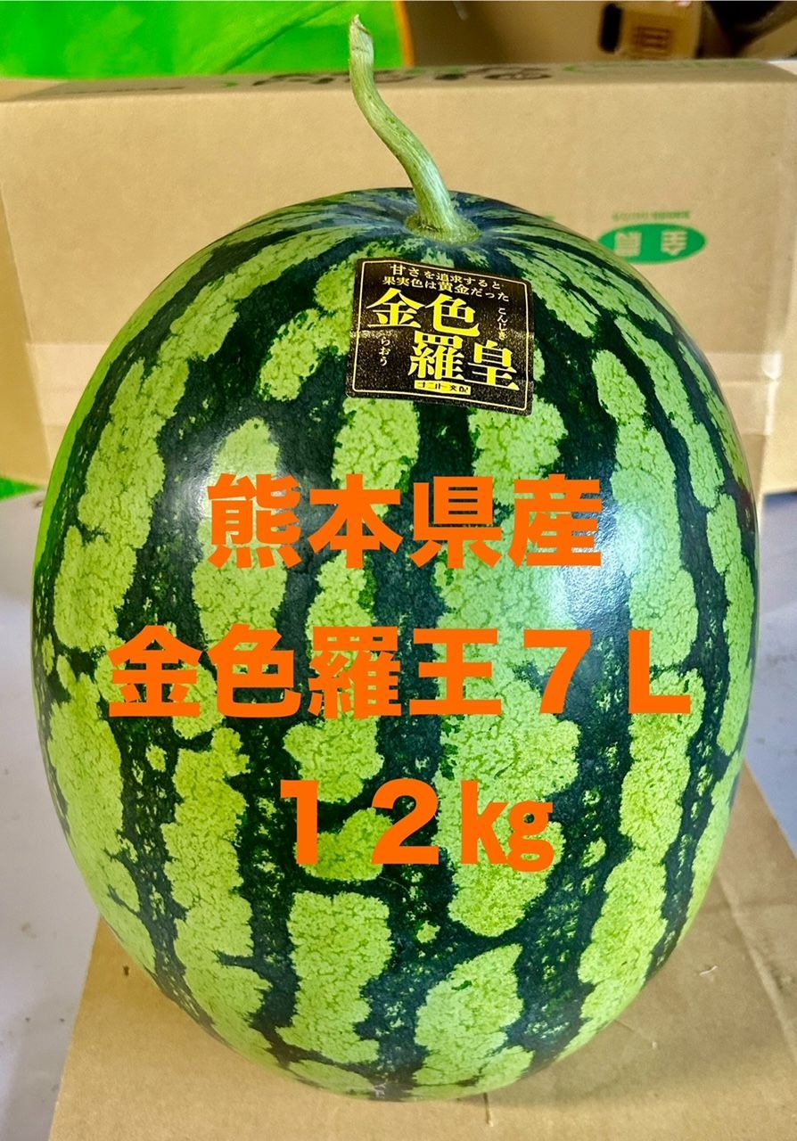 【特大金色スイカ】熊本県産金色羅皇７Ｌ（１２㎏）正規品