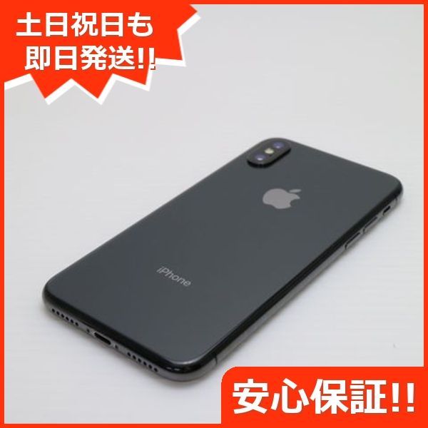 本体