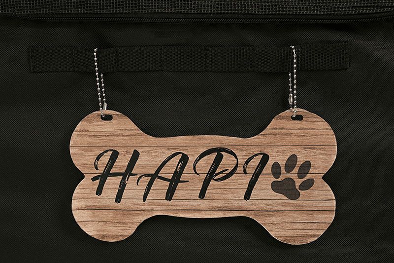 ペットインバスケットカバー ワイド ペット 自転車 自転車カバー ワイド ペット用カゴカバー 川住製作所 カゴカバー 犬 散歩 ペット乗せ 飛び出し防止 飛び出し対策 ワンちゃん 犬グッズ ペットグッズ 安心 安全 サイクリング 散歩 犬用カート WWW_GEBZETESISAT_COM_TR