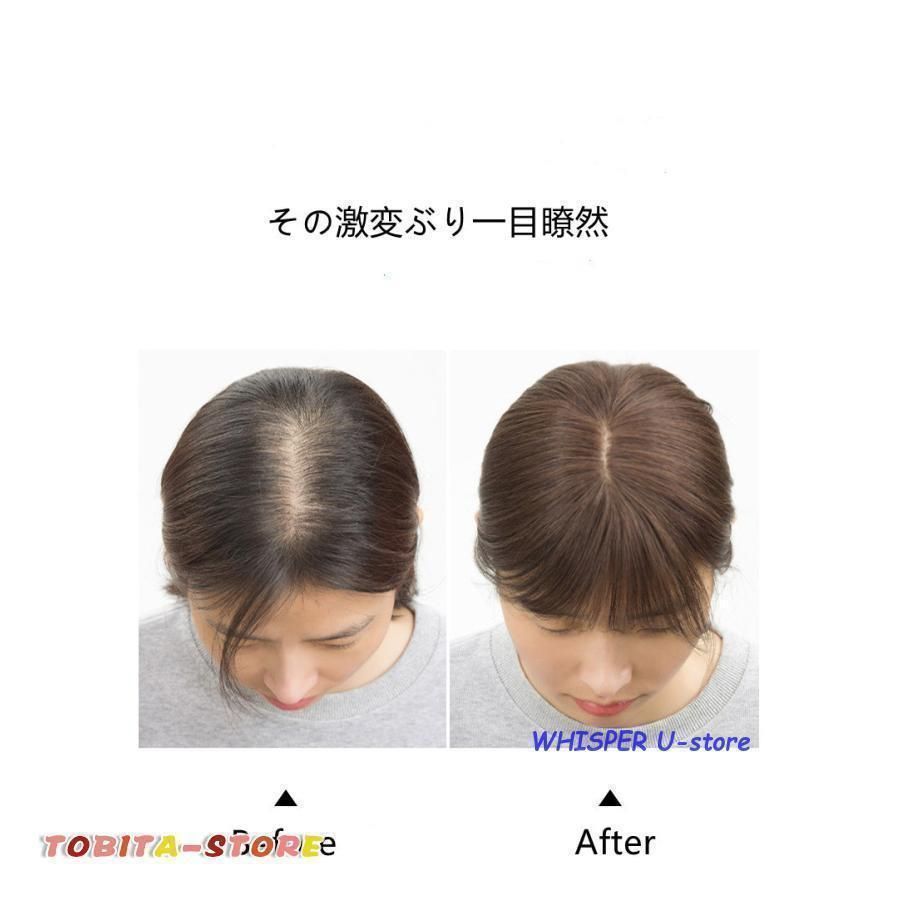 部分ウィッグ ウィッグロング