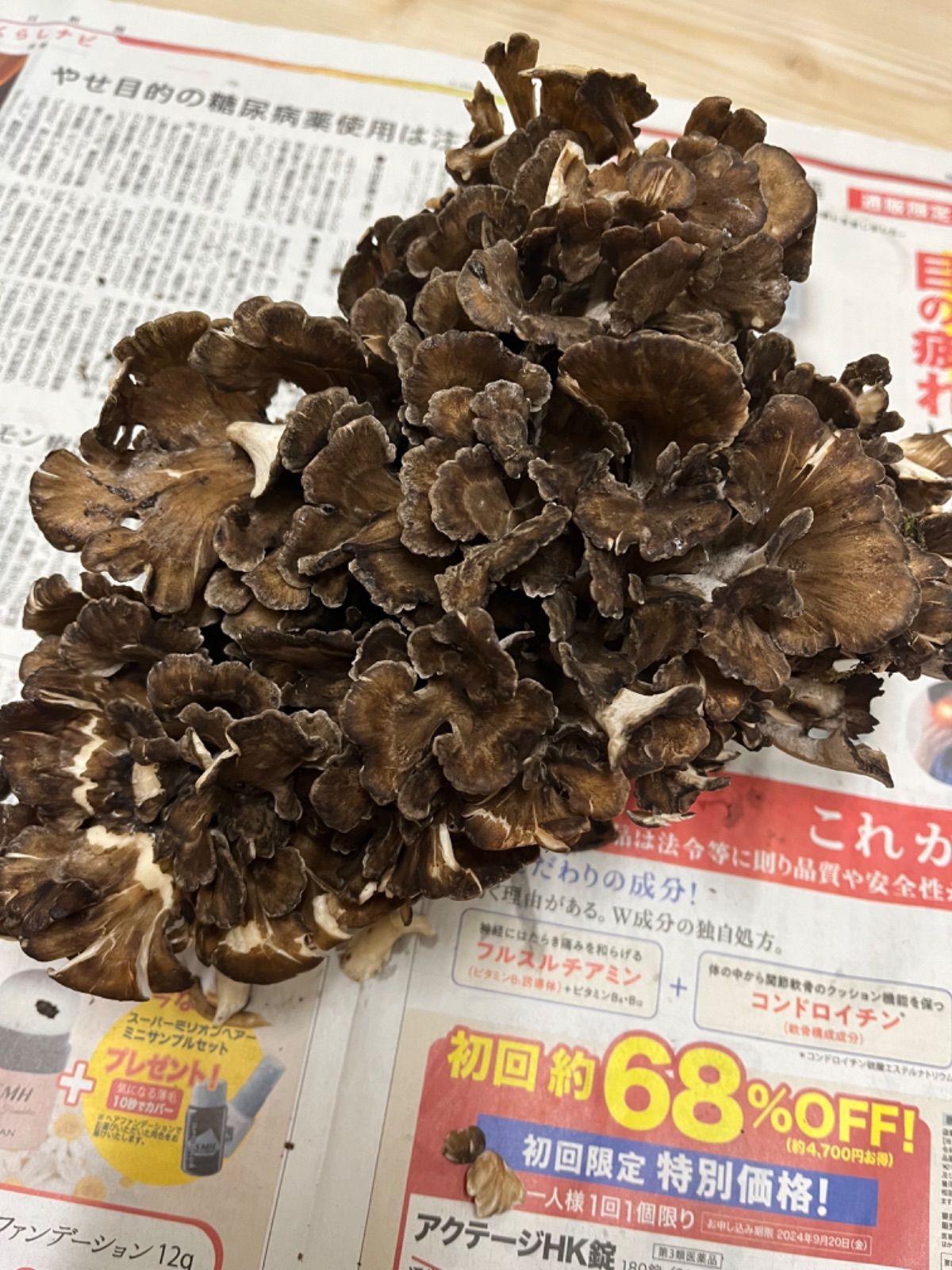 鳥取県産 天然 舞茸 750g - メルカリ