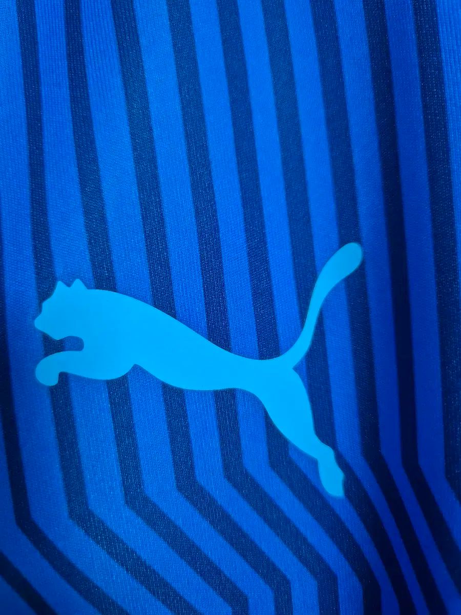 PUMA プーマ フェネルバフチェ