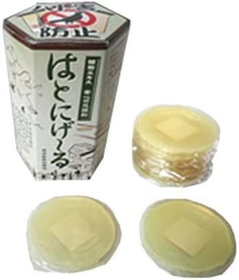【2個セット】 【2個セット】置くだけカンタン鳩対策 「はとにげ～る」