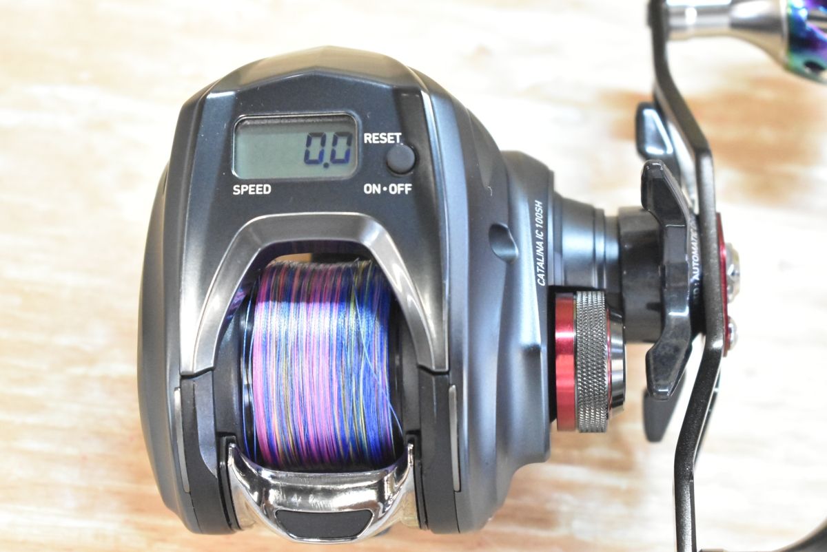 タチウオ ヒラメ