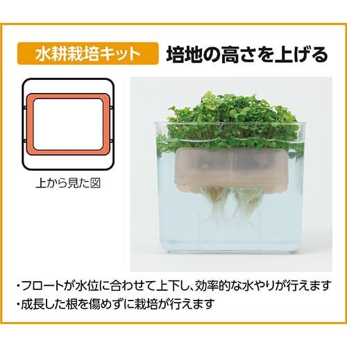 5営業日で発送