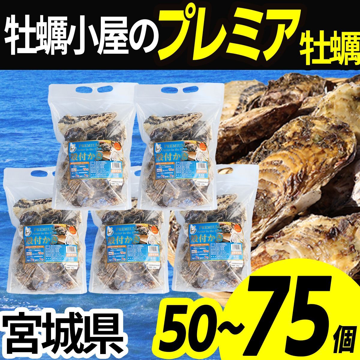 牡蠣 冷凍 大中サイズ 殻付き 50〜75個 宮城県産 三陸 カキ kaki 牡蛎 生牡蠣 海鮮 貝 貝類 バーベキュー BBQ 1.5kg×5袋