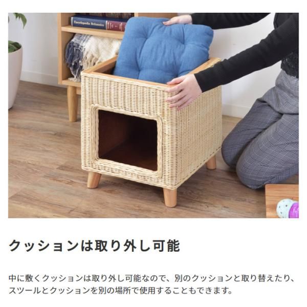 ねこ