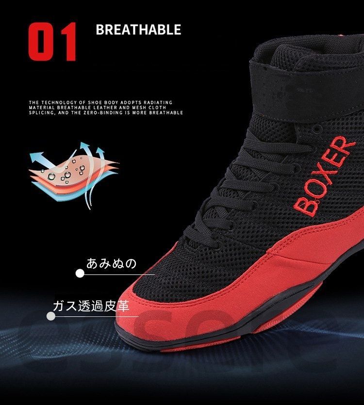 万年青「大八州」 Yahoo!オークション - 万年青 おもと 羅紗系「大八洲」