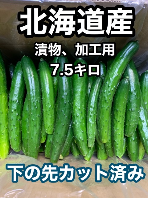 食品ロス　きゅうり　漬物　加工用　7.5キロ　北海道-0