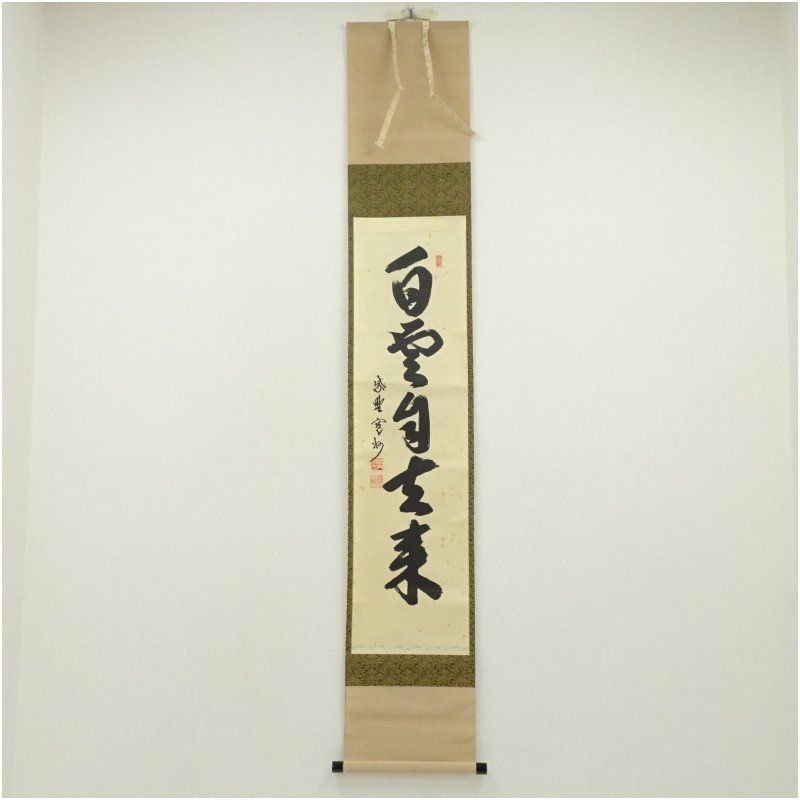 大徳寺 長谷川寛州筆 白雲自去来 一行書 肉筆紙本掛軸 共箱 掛け軸 床の間 書 おしゃれ 絵画 表具 芸術 茶道 年中掛け インテリア 茶掛 掛物 和室 8月 12月 7月 夏冬