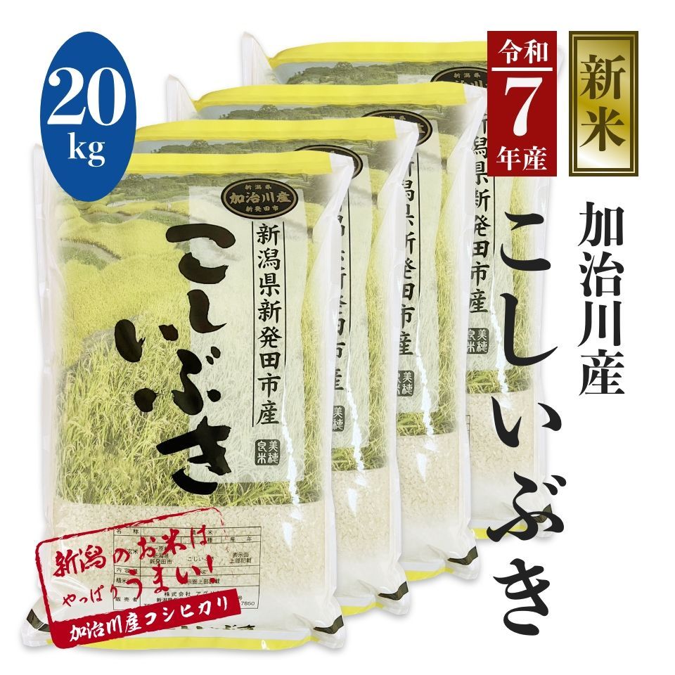 新潟県産こしいぶき 新米20㎏  本日まで こしいぶき 新米 お米 新潟県産 白米 20kg (5kg×4個) 令和7年産