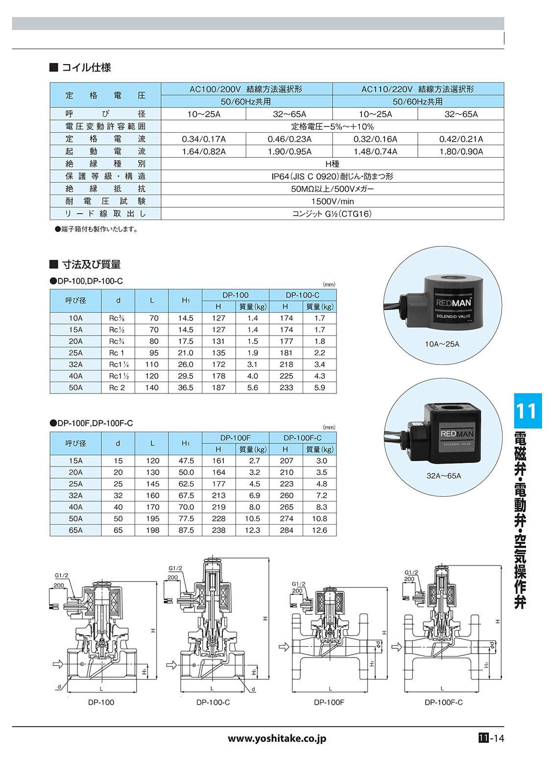 25A DP-100