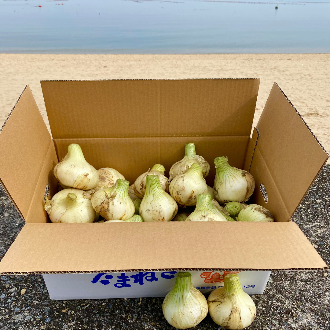 淡路島『歩』玉ねぎ　3kg【兵庫県淡路島産】