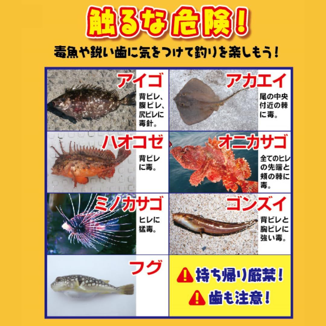 かんたん!海釣り入門 : 仕掛けのセットと釣り方がすぐに分かるガイド