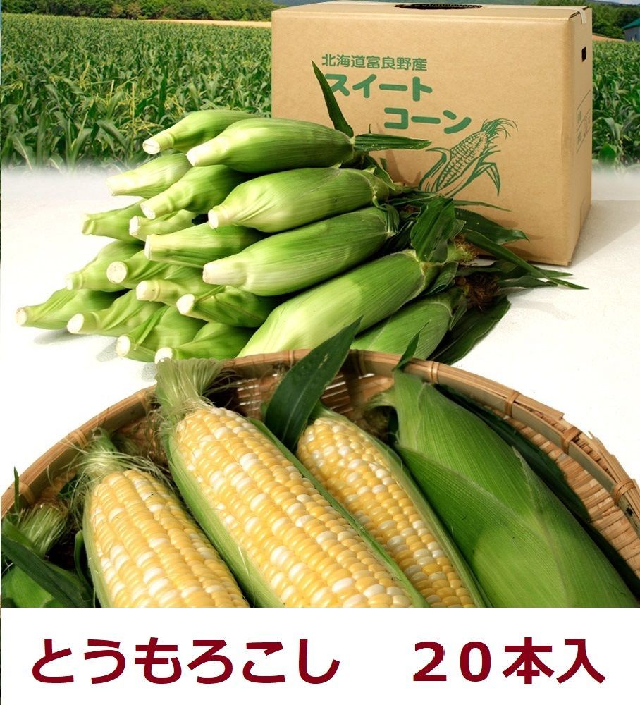 富良野産 とうもろこし 2０本入箱 【北海道 農家直送】新鮮朝取り午前発送！