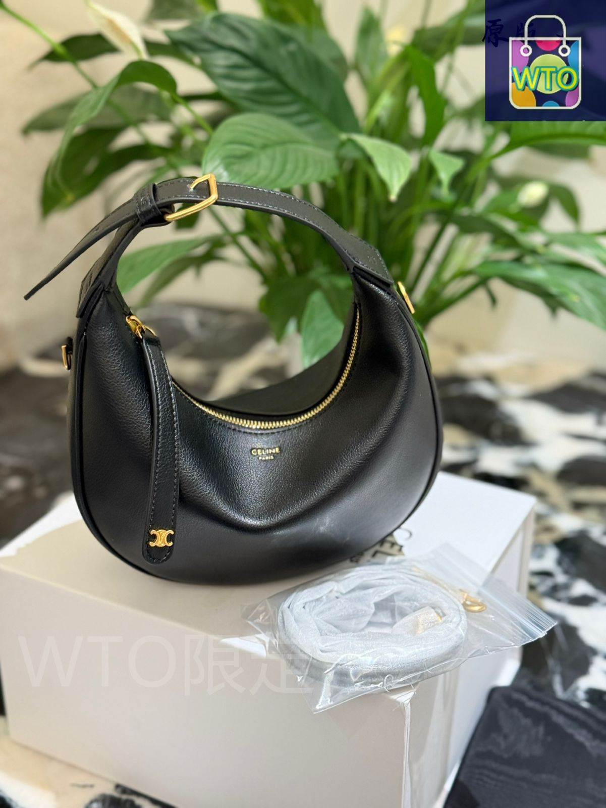 今日 Celine TEEN LULU Bag 2025 New Model-WTO輸入4