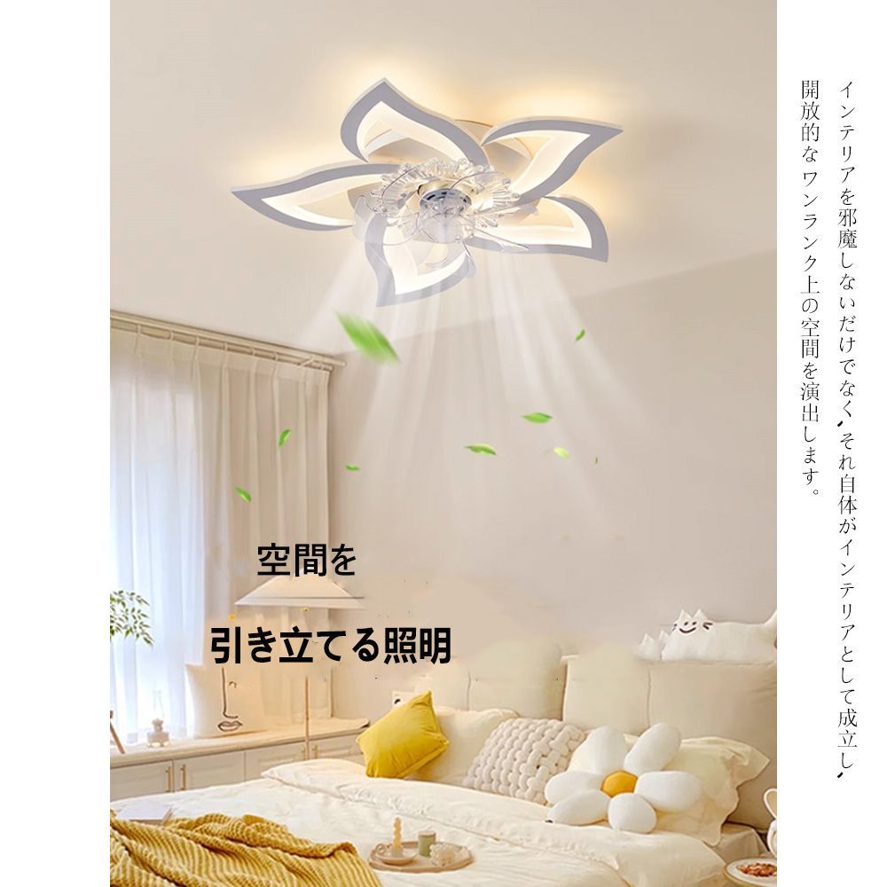 サーキュレーター