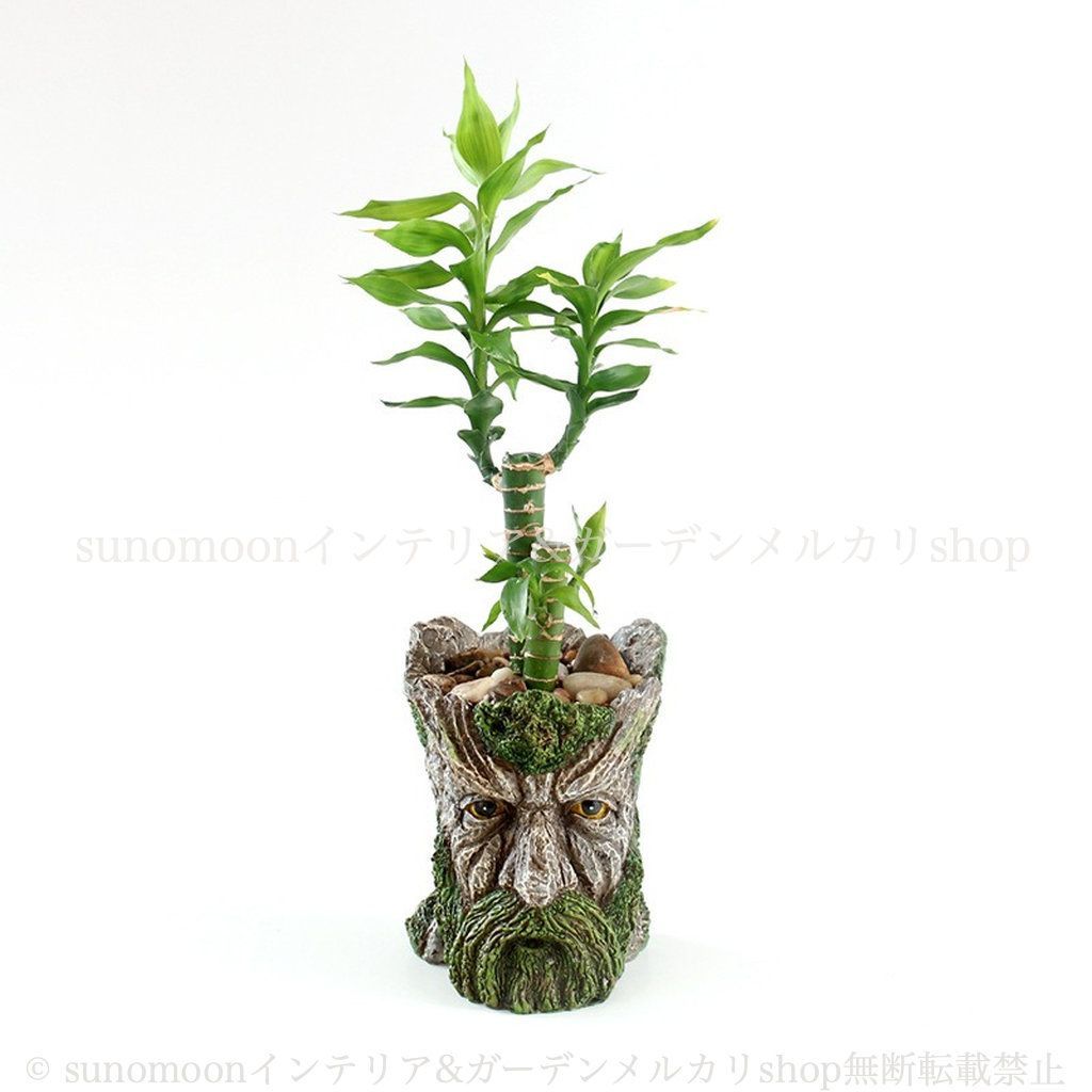プランター 植木鉢アンティーク ヴィンテージガーデニン グ雑貨 即出荷