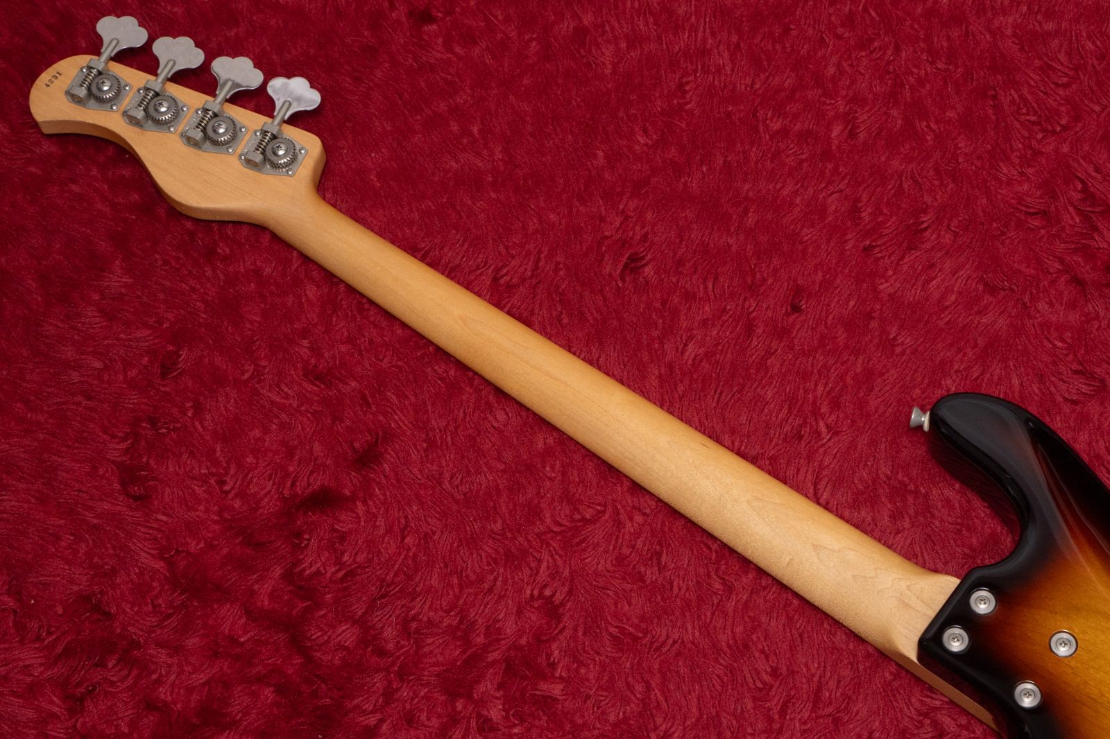 Fretless
