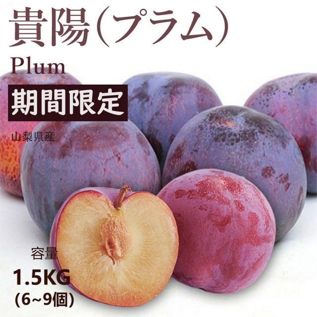 夏ギフト お中元 くだもの フルーツ すもも 山梨県産 貴陽 プラム 約1.5Kg 6〜9個入り 気品あふれる見た目と 格別な味わいは 大切な方への贈り物に最適です 夏の味覚 旬の味覚 すもも プレゼント 果物ギフト 冷蔵配送 お取り寄せグルメ