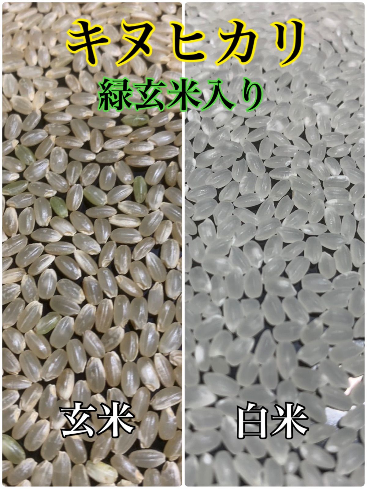 令和7年産 新米 キヌヒカリ 玄米30kg 淡路島産 - メルカリ