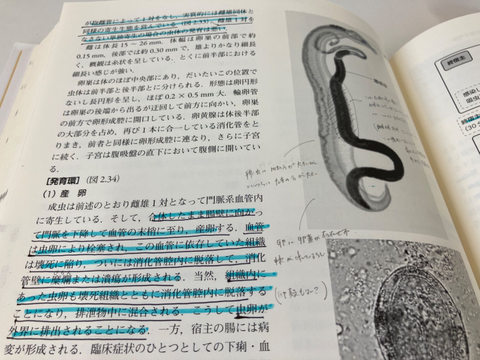 最新 獣医寄生虫学・寄生虫病学 ☆獣医寄生虫学・寄生虫