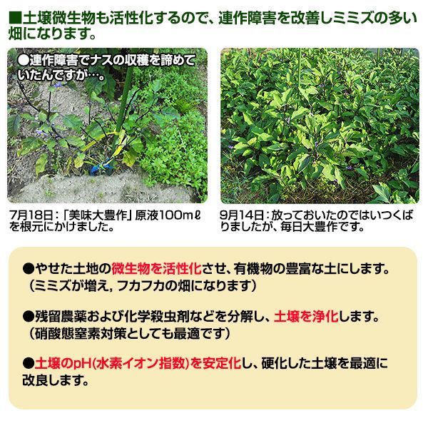 植物活力液 美味大豊作 GT-S 500ml 活性剤 天然成分 100% 収穫量