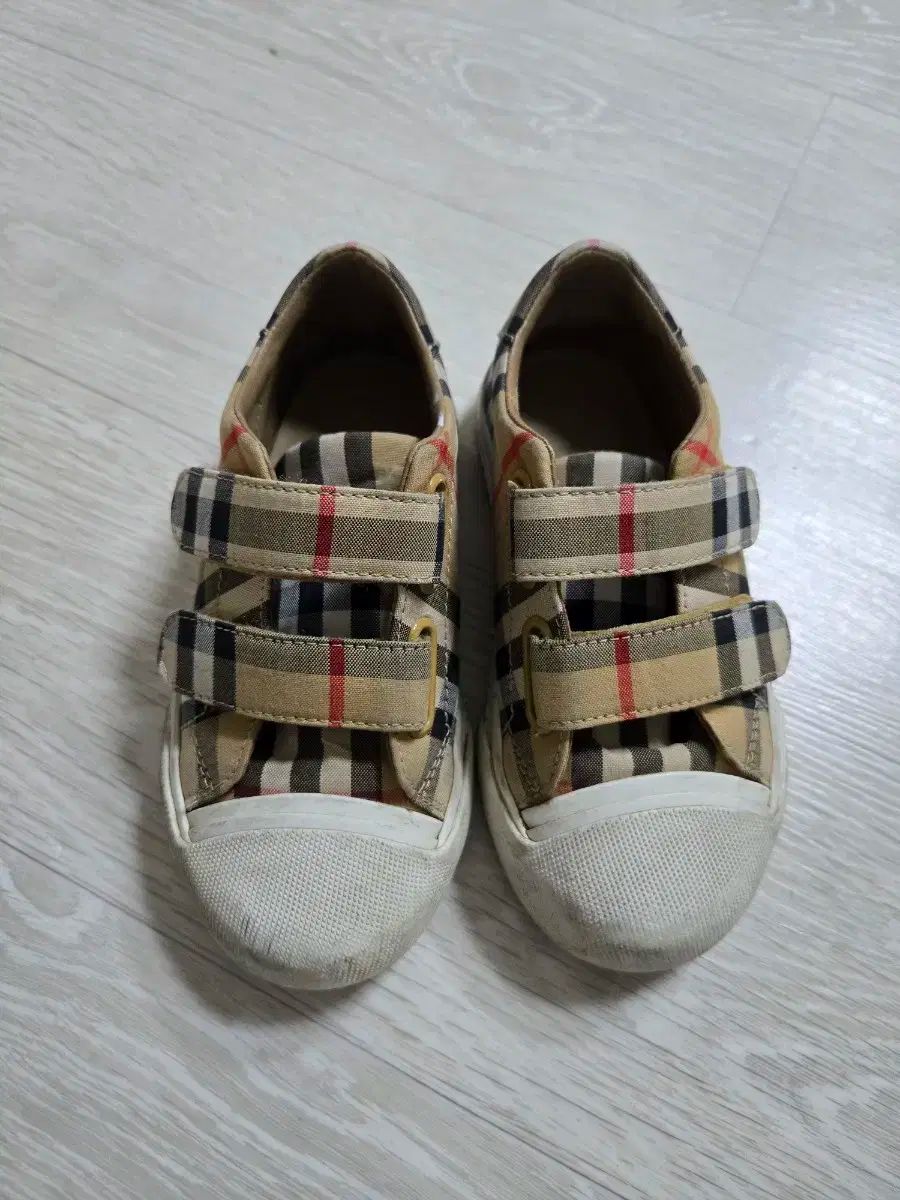 佐治石〈17〉【Taiyoメダカ】 佐治石〈17〉【Taiyoメダカ】