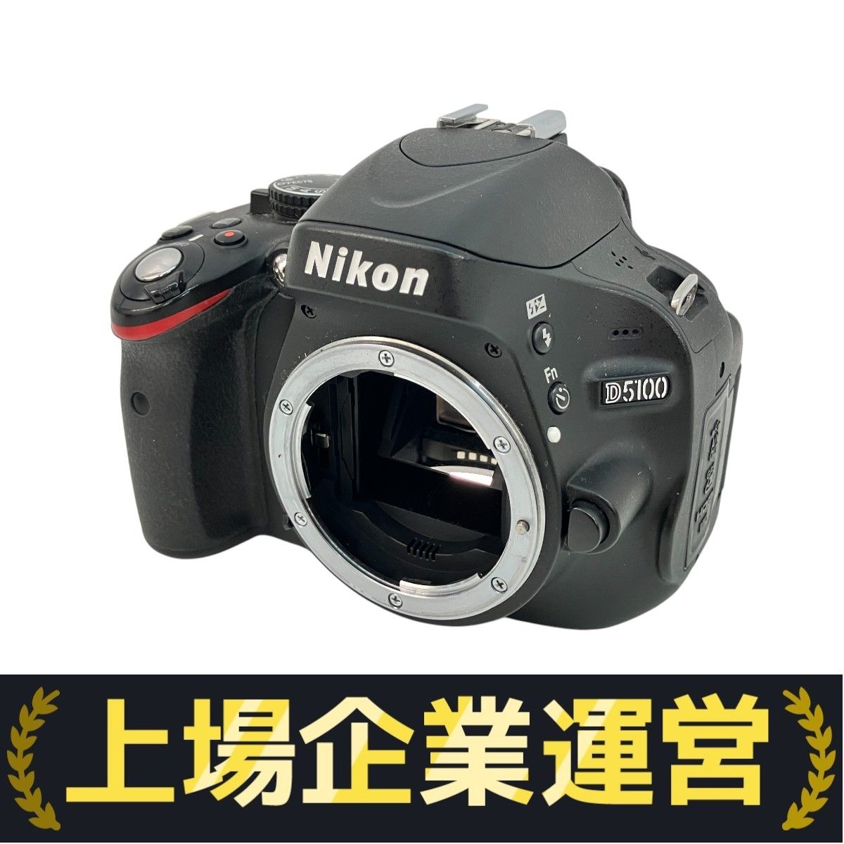 Nikon D5100 レンズセット　専用出品です！ camerart-shop_nikon-d5100-300-wr