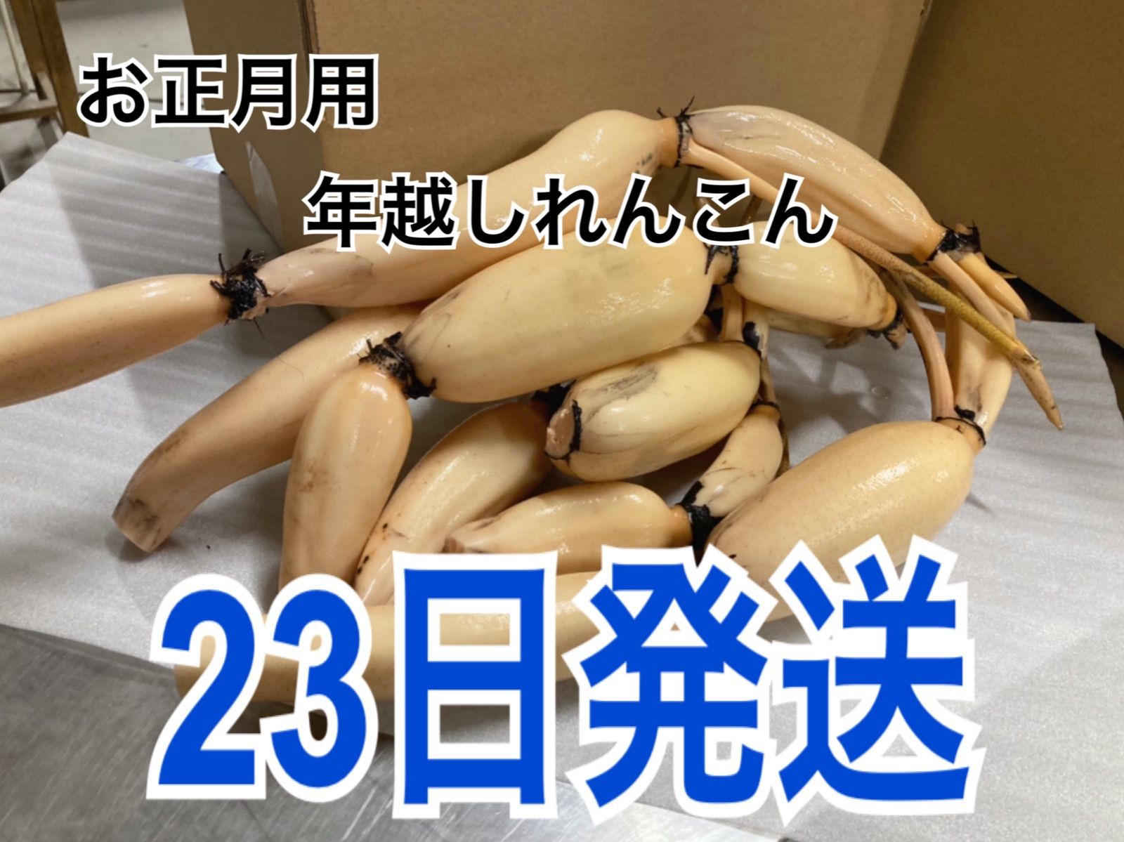 徳島鳴門 お正月用蓮根 23日発送 2.２キロ - メルカリ