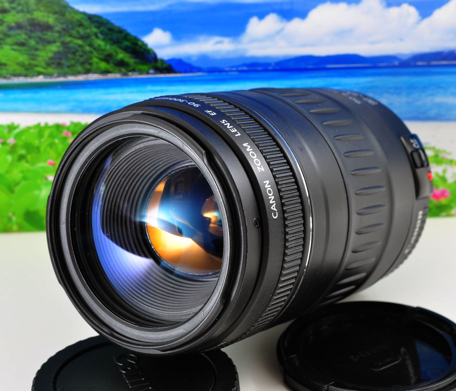 ★Canon キヤノン 望遠レンズ EF90-300mm 一枚の写真から！#2 EF90-300mm F4.5-5.6 USM - キヤノンカメラミュージアム