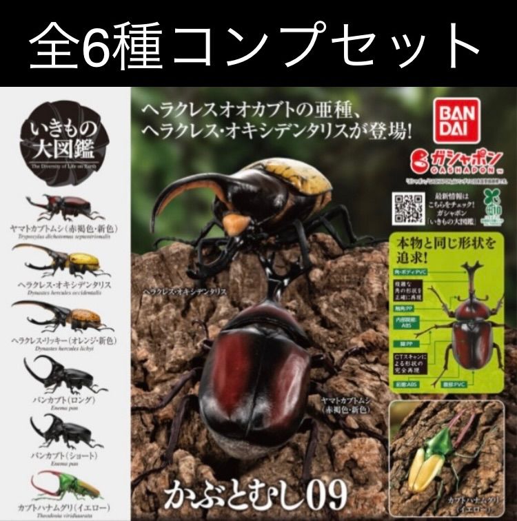 いきもの大図鑑　コンプリートセット いきもの大図鑑かぶとむし09 全6種コンプリートセット - メルカリ