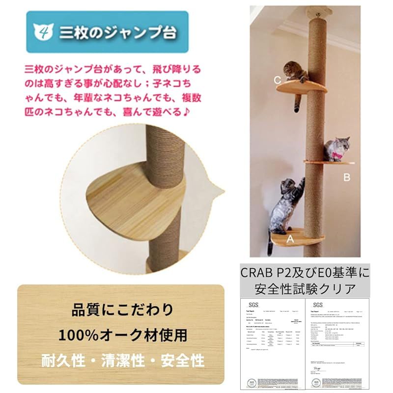 太木登りタワー