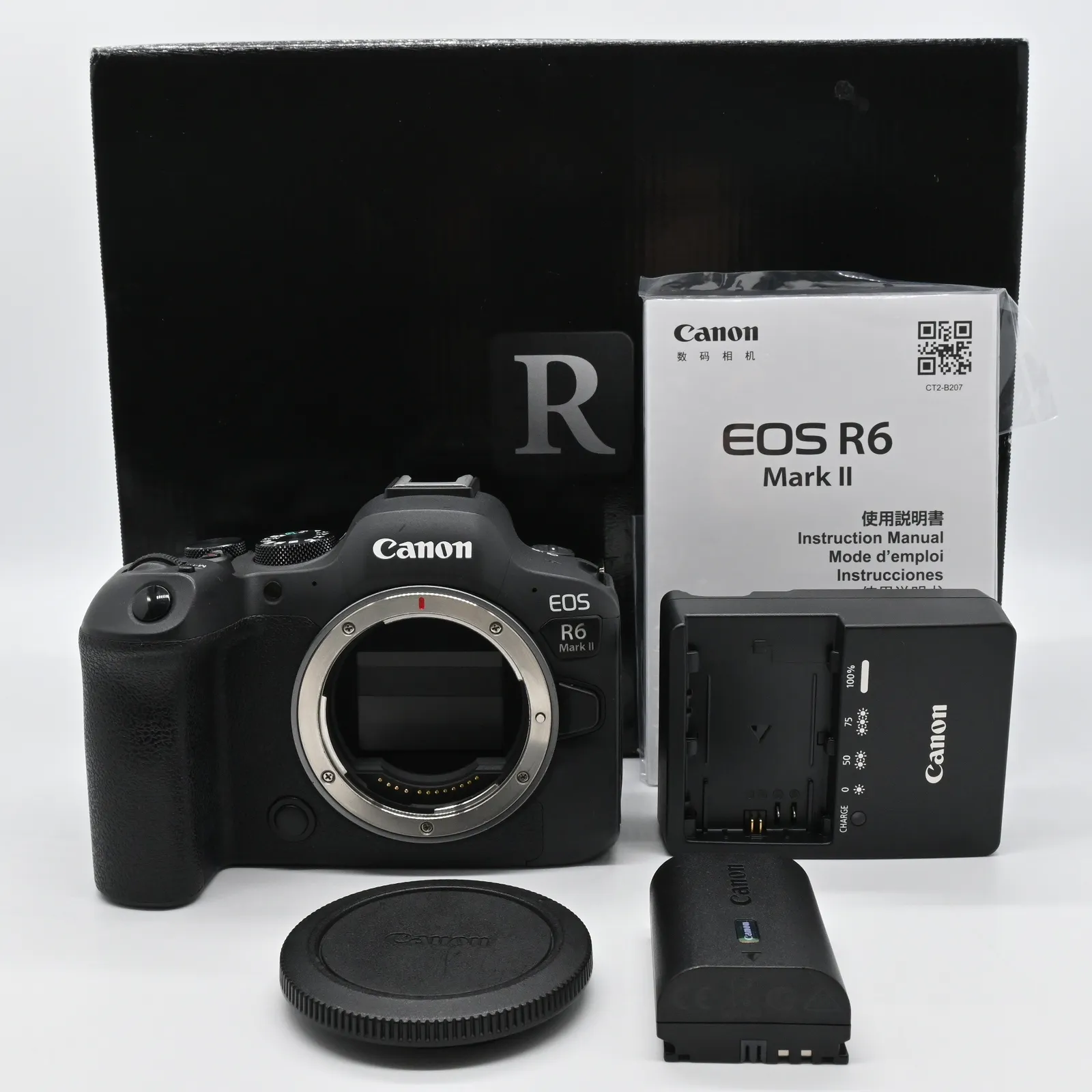 2025年最新】canon eos r6 markiiの人気アイテム - メルカリ