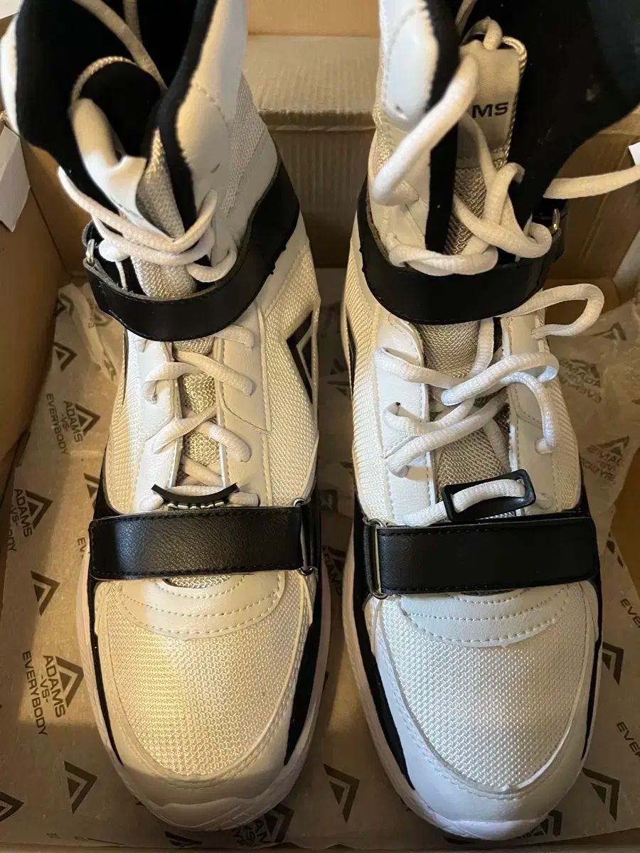  アダムス ボクシング シューズ 廃止 サイズ 260 その他 ボクシング