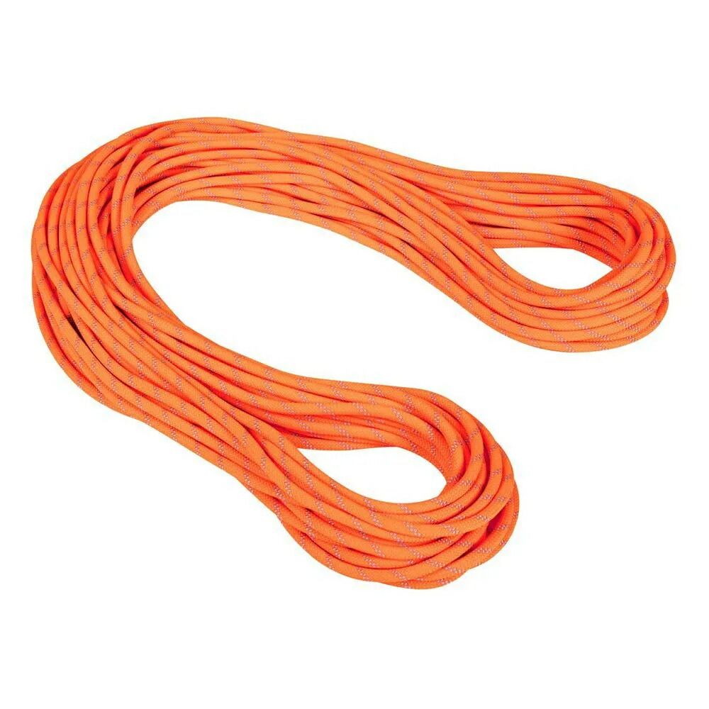 お取り寄せ ２～４週間で発送 マムート アルパイン ドライ 9.5mm ロープ Safety Orange | Ze t MAMMUT Alpine Dry 9.5 mm t